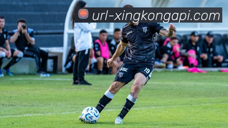赛事专题整合