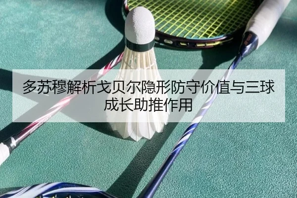 多苏穆解析戈贝尔隐形防守价值与三球成长助推作用